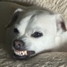 Фото профиля benny