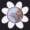 ari’s petalꕤ 的头像