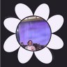 anteeny | PETAL OUT NOW ꕤ。˚⋆ ⋆✴︎˚。⋆ profil fotoğrafı