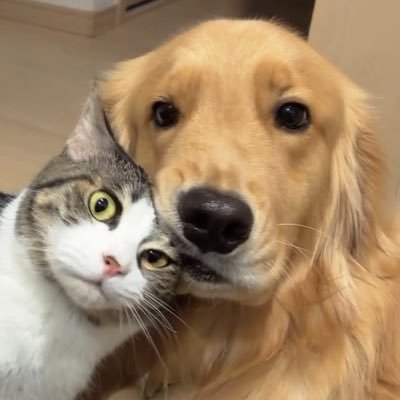Lemochimame__s's profile picture