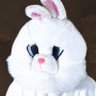 Conejo Pepito's profile picture