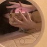Profilbild von ゆかり@アニメ垢