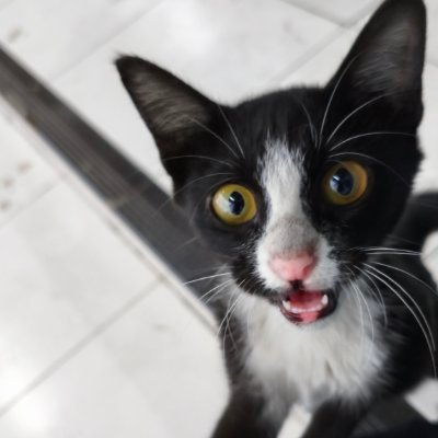 moondroppss_'s profile picture