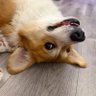 Ирина's profile picture