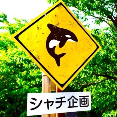シャチ企画's profile picture