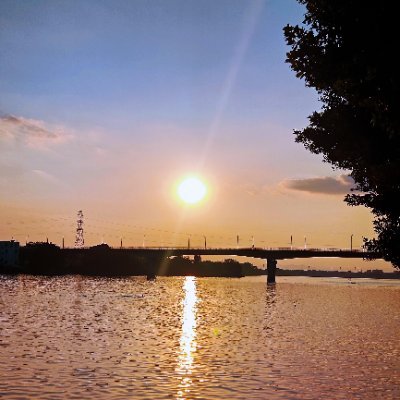 RachelZhong928's profile picture