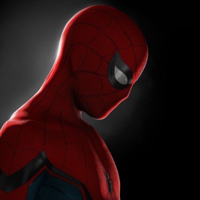 spidey's profile picture