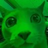 Profilbild von jonny cruz