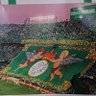 Toni betis's profile picture