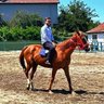 Profilbild von Beytullah AKGÜN