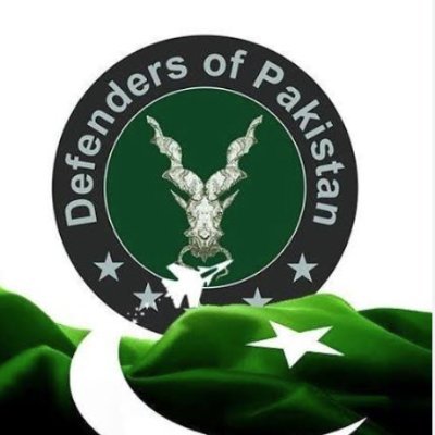 Pk_Defender0's profile picture