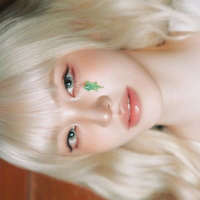 snorxaxcat's profile picture