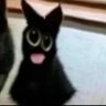 Dd's profile picture