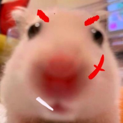 구뾰's profile picture