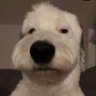 Profilbild von mordekay
