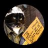 CATholic DOGma Rescue & Retvrn's profile picture