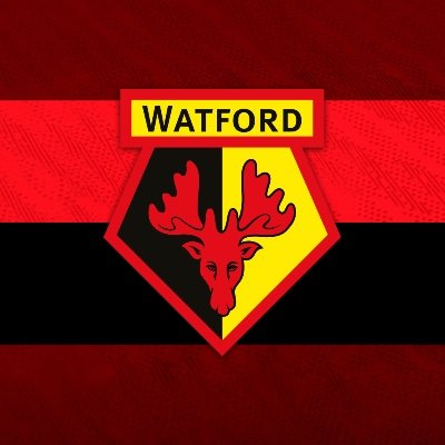 Watford FC Women's profile picture