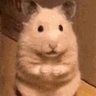 Profilbild von Trivinity