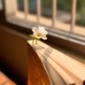 Фото профиля أَسْعَى لِأَتْرُك أَثَر