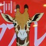 故っ障 的头像