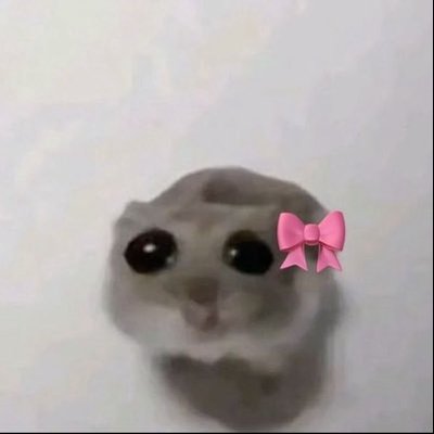 ixovever's profile picture