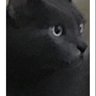 Babar profil fotoğrafı