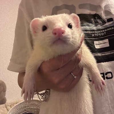 theoddoflove320's profile picture
