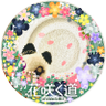 ヮショ!🎉 的头像