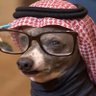 Jackal's profile picture