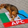 Former APC Member profil fotoğrafı