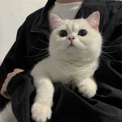 aoao12188's profile picture