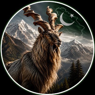 Banjosahills's profile picture
