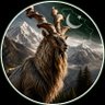 Markhor 🇵🇰's profile picture