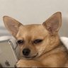 Profilbild von Blocked Caller