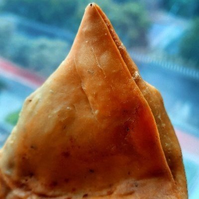 Dinglish_Samosa's profile picture