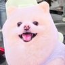 ♡CC♡'s profile picture