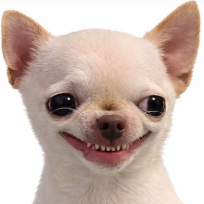 Nafisa's profile picture