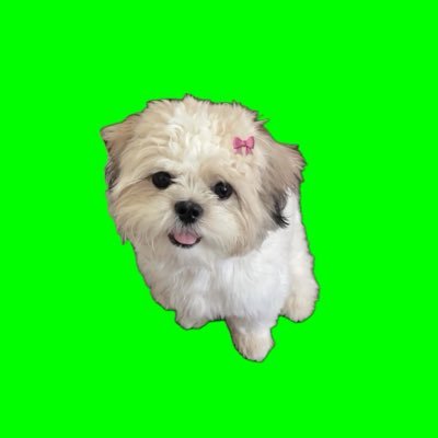 lafanestbelle's profile picture