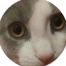NRX Shinjo's profile picture
