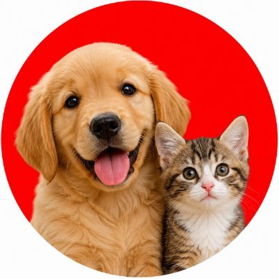 ™ĐØĢMEOW 🕊️'s profile picture