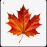 Northy's profile picture