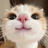 Profilbild von harlee_e