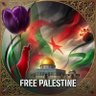 M074M3D🇵🇸✌️ 的头像