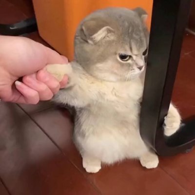 hcanf47992579's profile picture