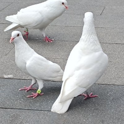 O6tuDelta9zy's profile picture