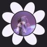 Faerie Soirée profil fotoğrafı