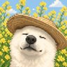 汪酱's profile picture