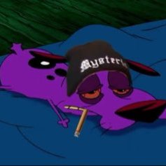 Danni's profile picture