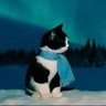 sunix profil fotoğrafı