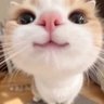 Фото профиля もるでぃ